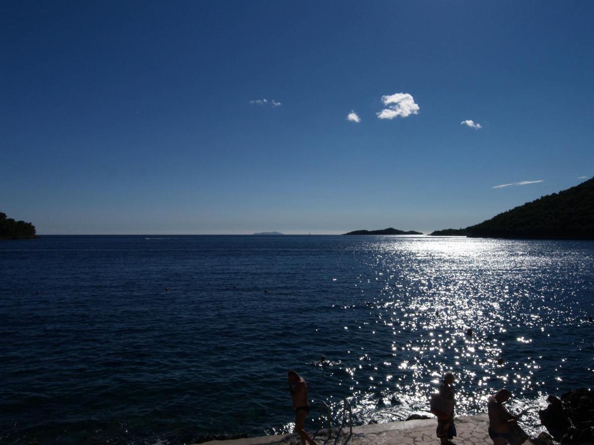 Three-room Near The Beach-zen Appartement Brna